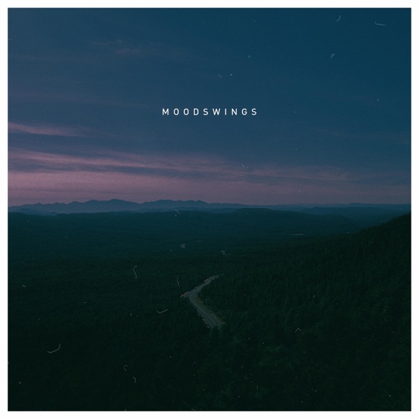 Moodswings - Single album cover