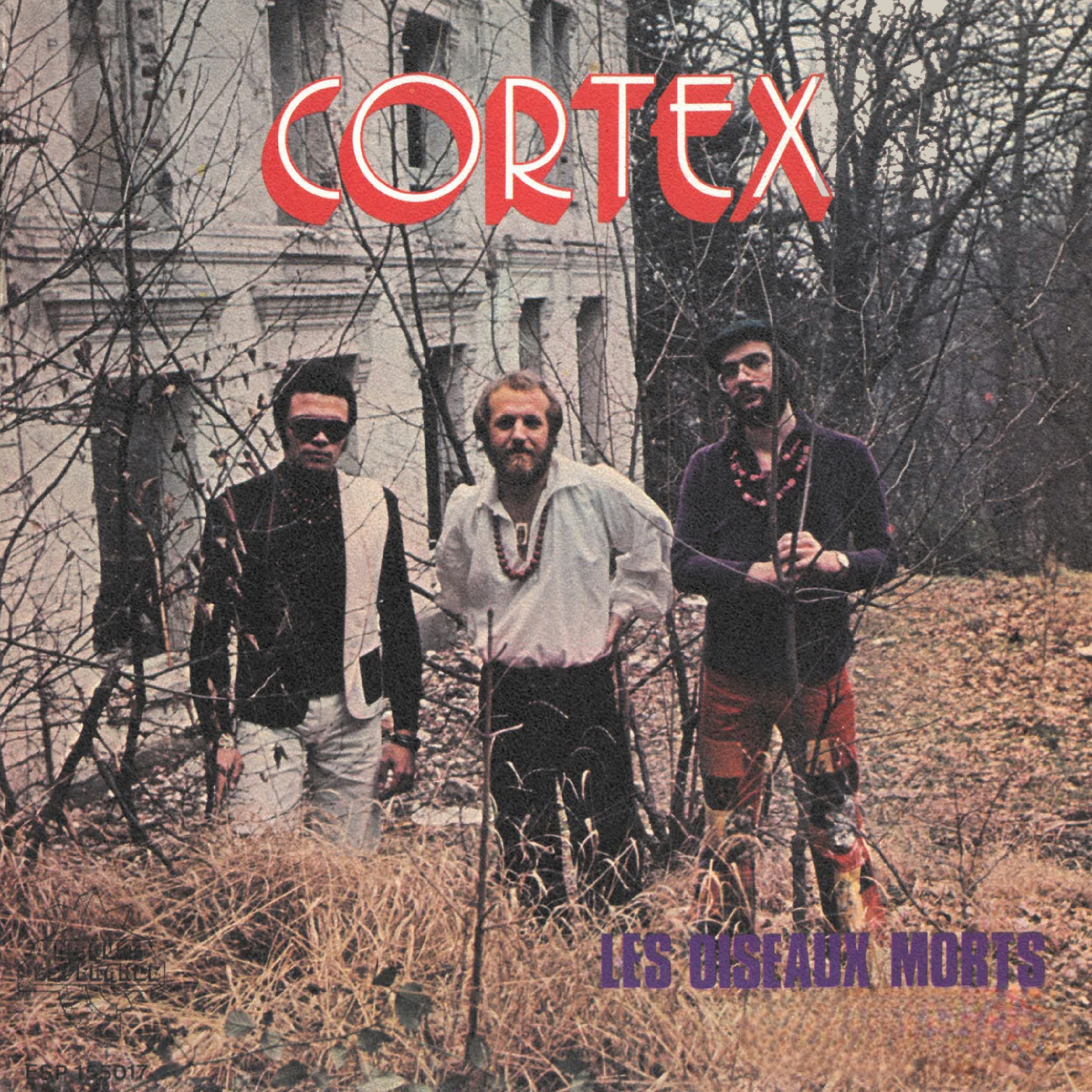 Les Oiseaux Morts - Single album cover