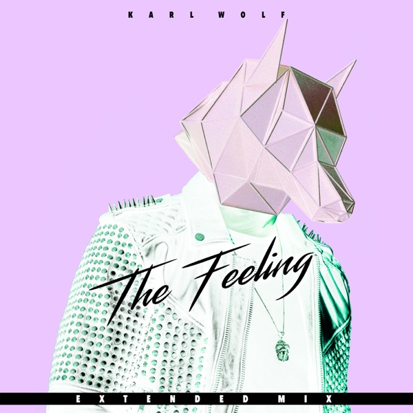 The Feeling (Extended Mix) - Single album cover