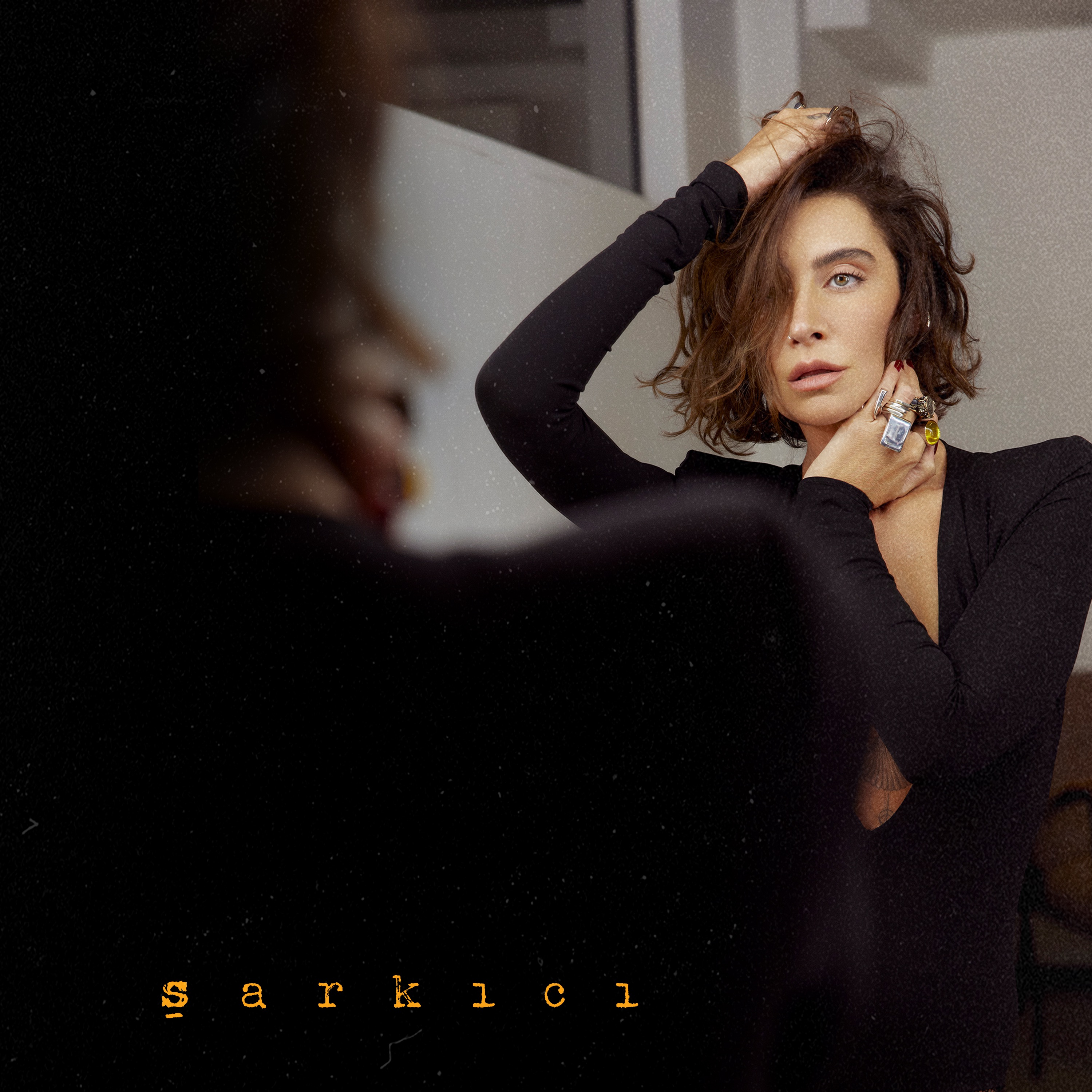 şarkıcı album cover