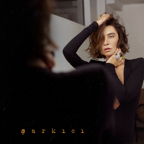 şarkıcı album cover