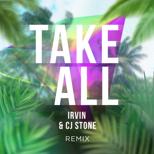 Take All (Irvin & Cj Stone Remix) - Single album cover