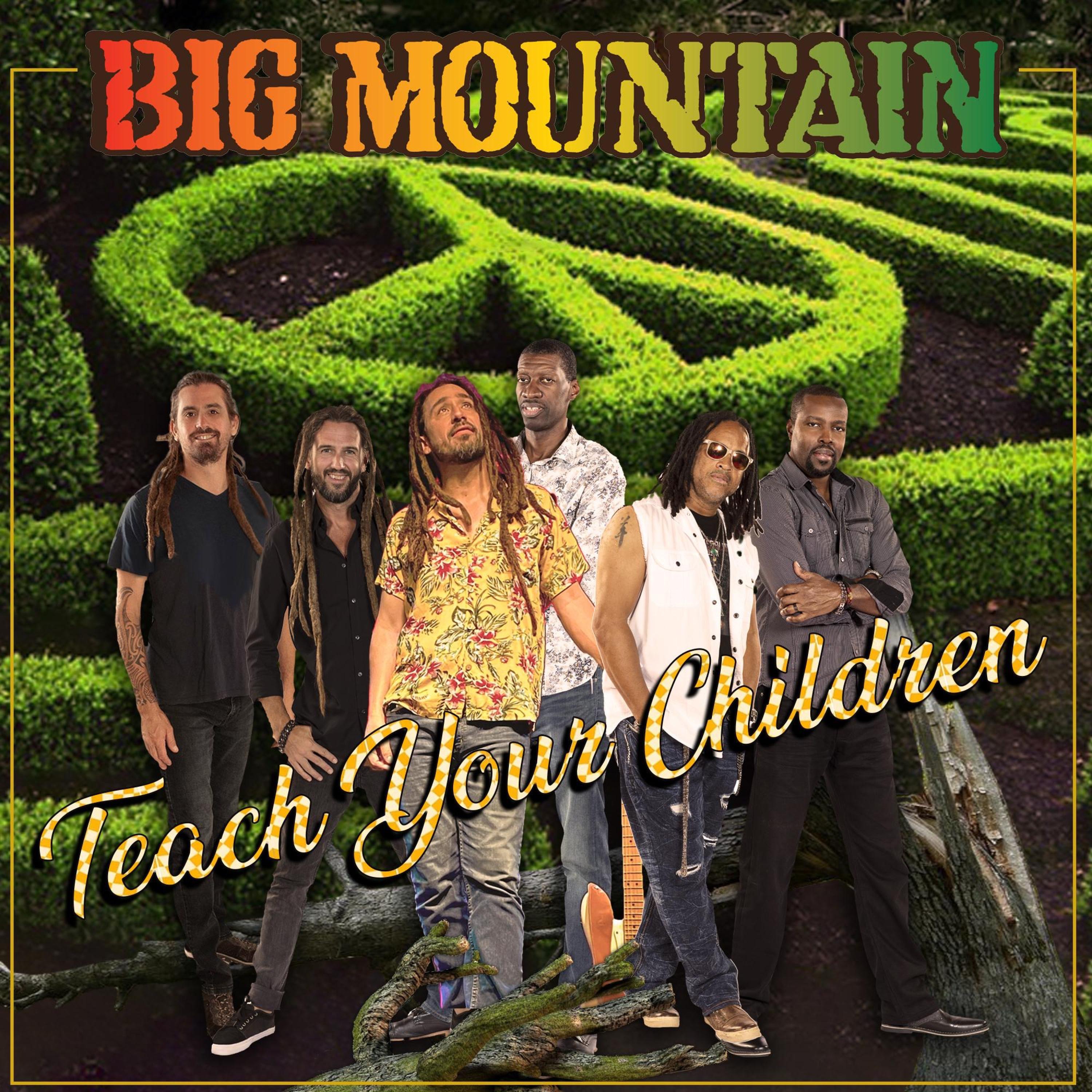 Teach Your Children - Single album cover