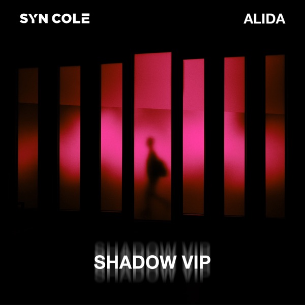 Shadow (VIP Mix) - Single album cover