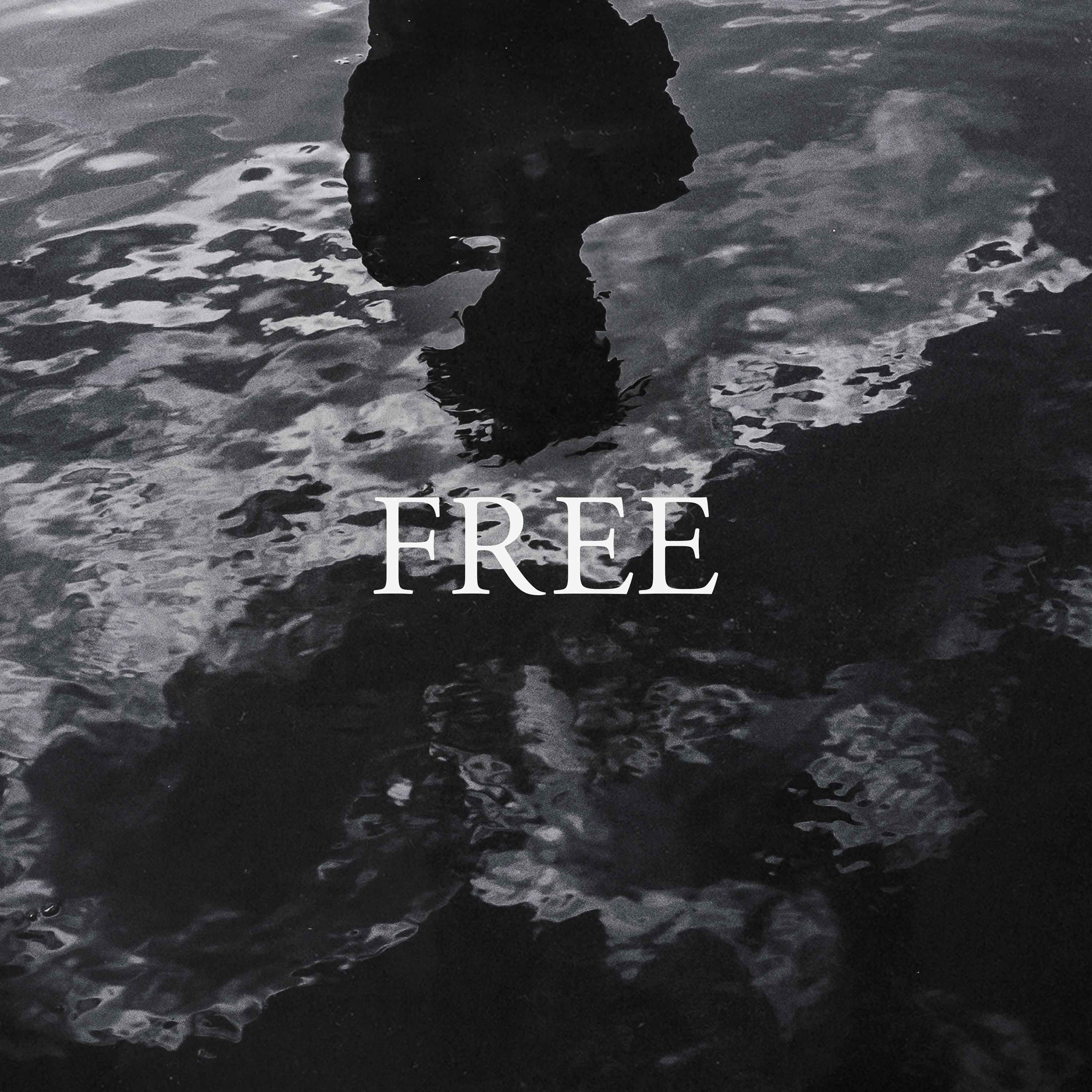 Free (feat. Tom Misch) - Single album cover