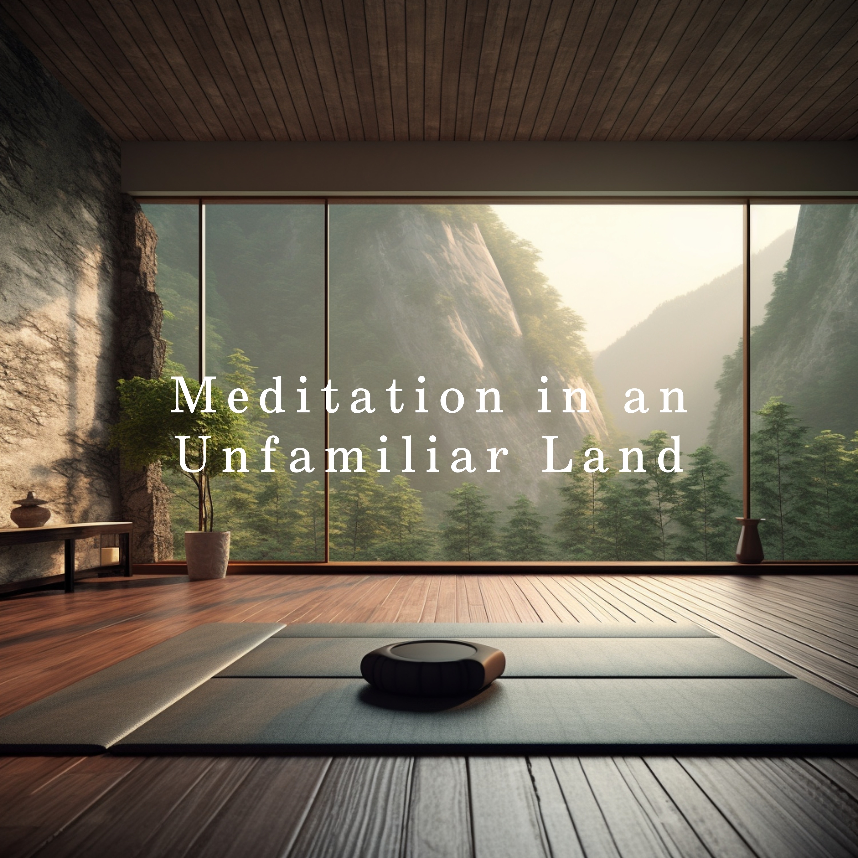 Meditation in an Unfamiliar Land album cover