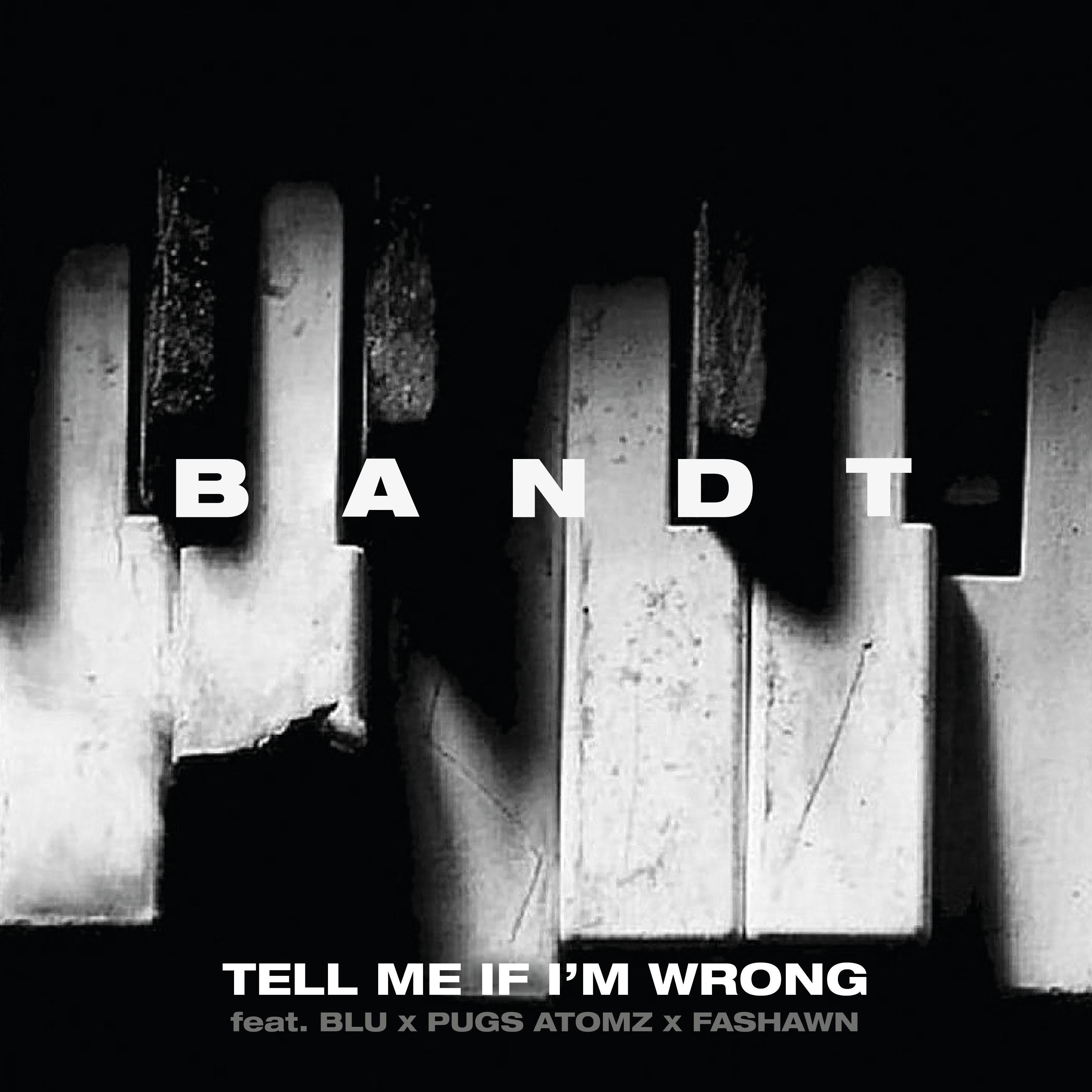 Tell Me If I'M Wrong (feat. Blu, Fashawn & Pugs Atomz) - Single album cover