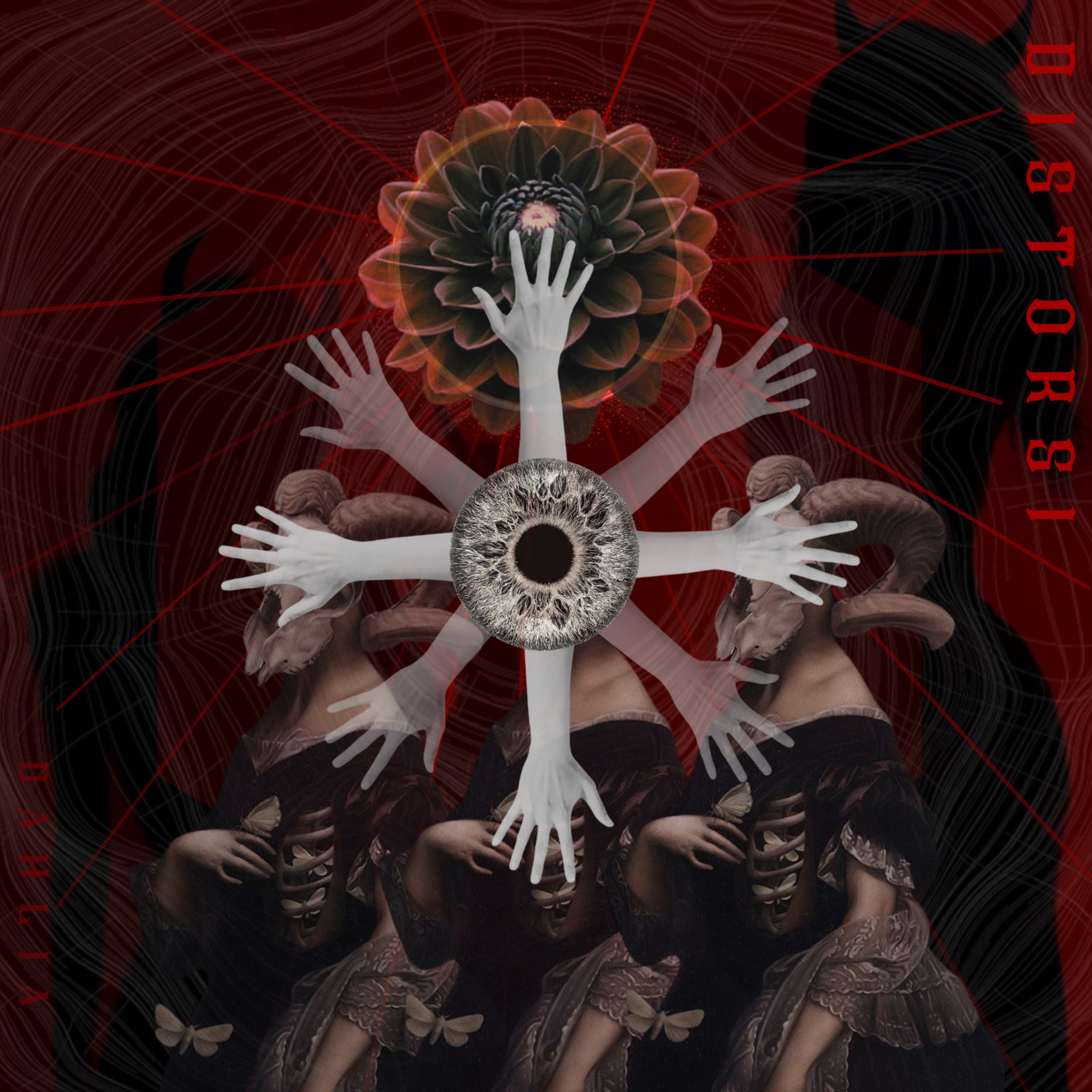 Distorsi album cover