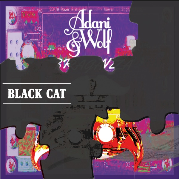 Black Cat - Single album cover
