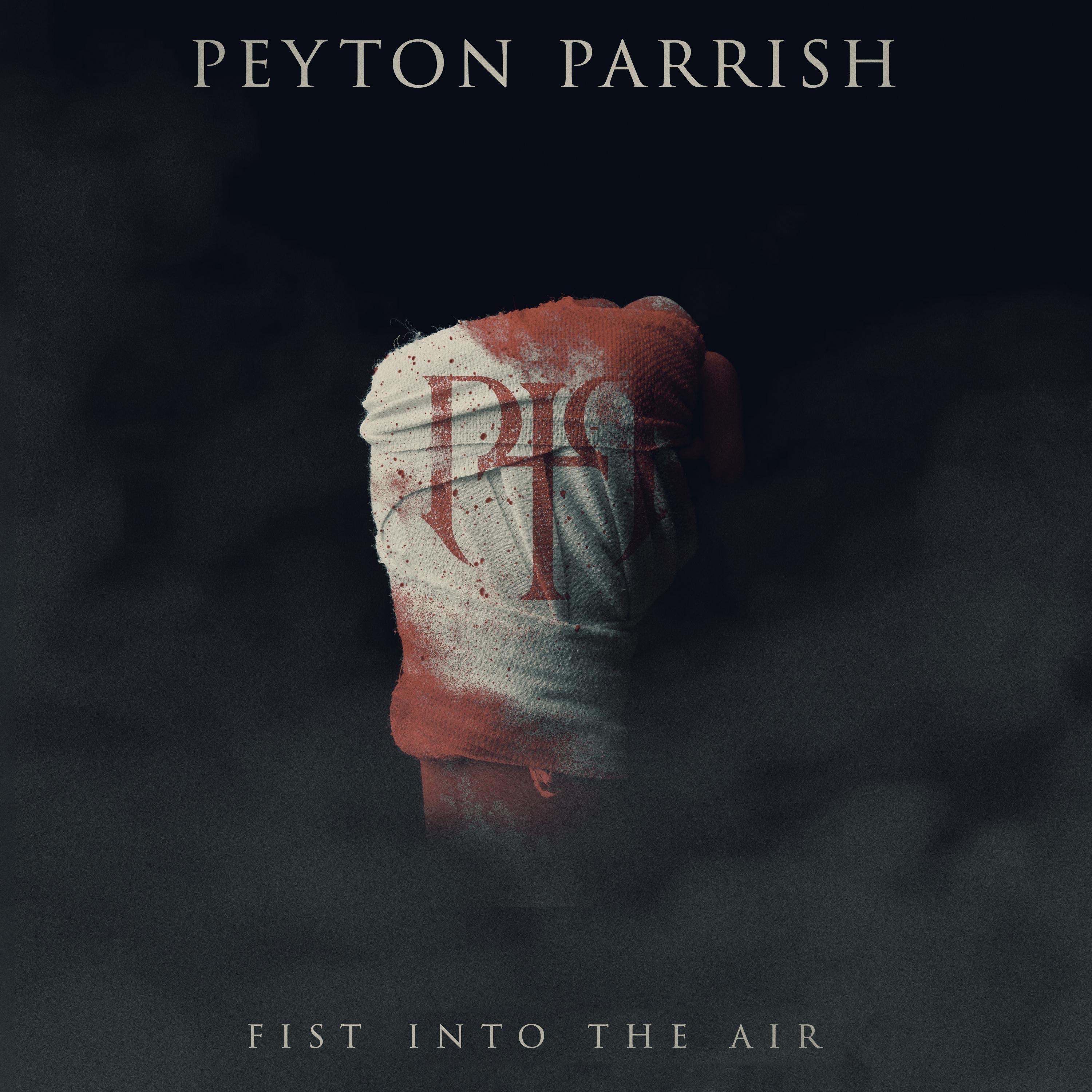 Fist Into the Air - Single album cover