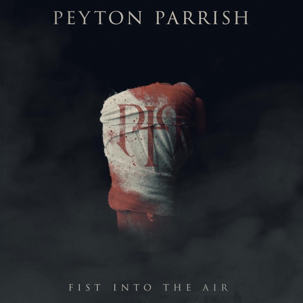 Fist Into the Air - Single album cover