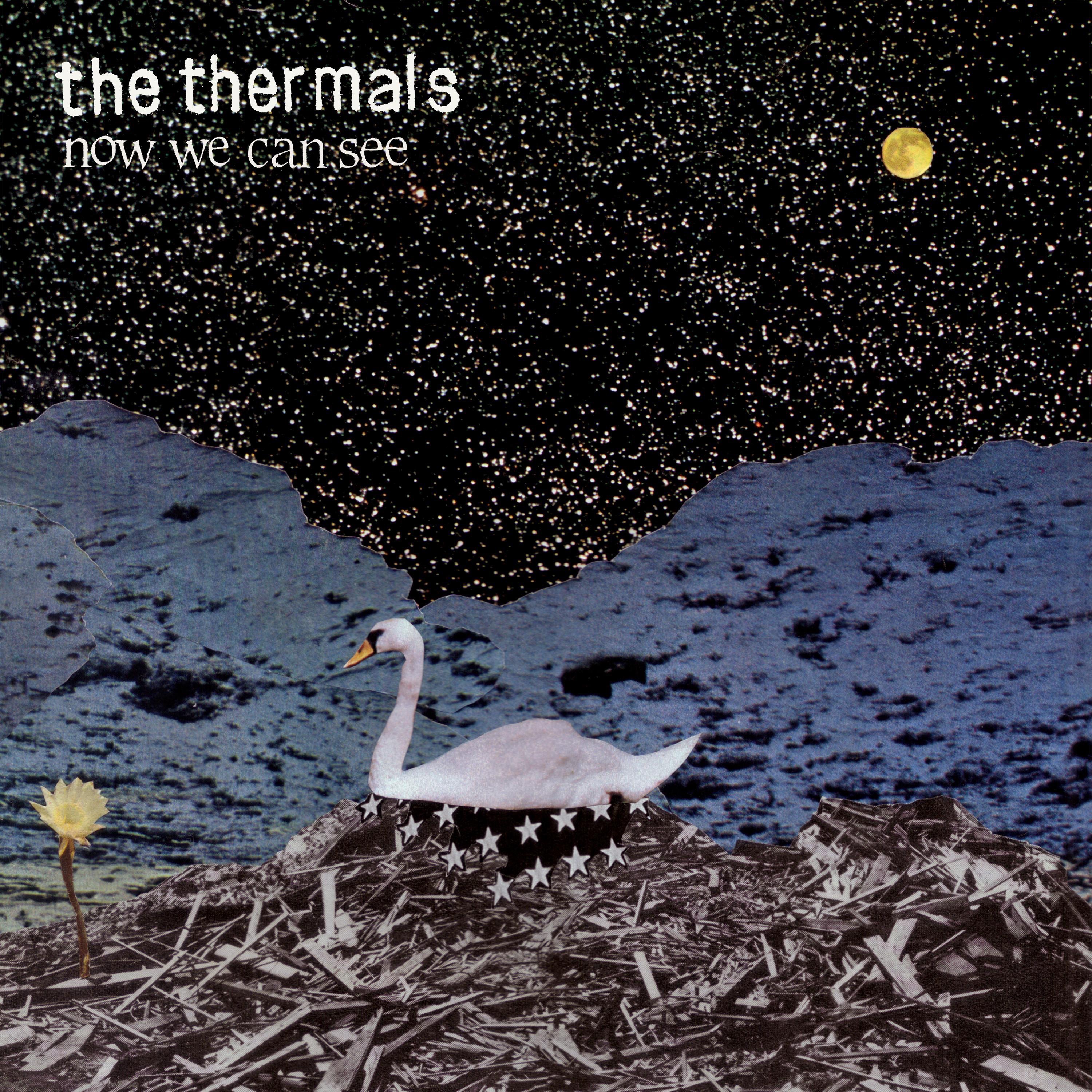 Now We Can See album cover