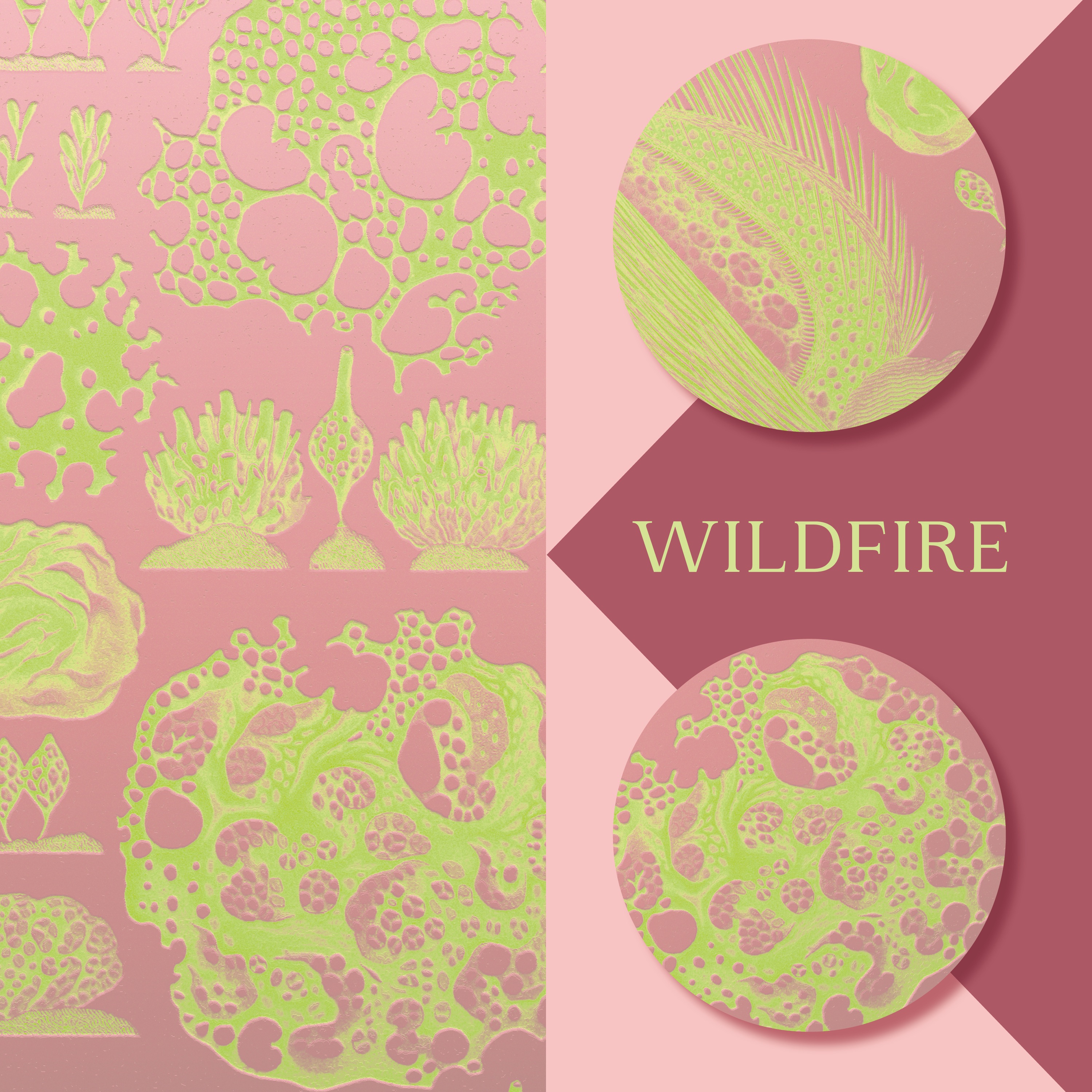 Wildfire - Single album cover