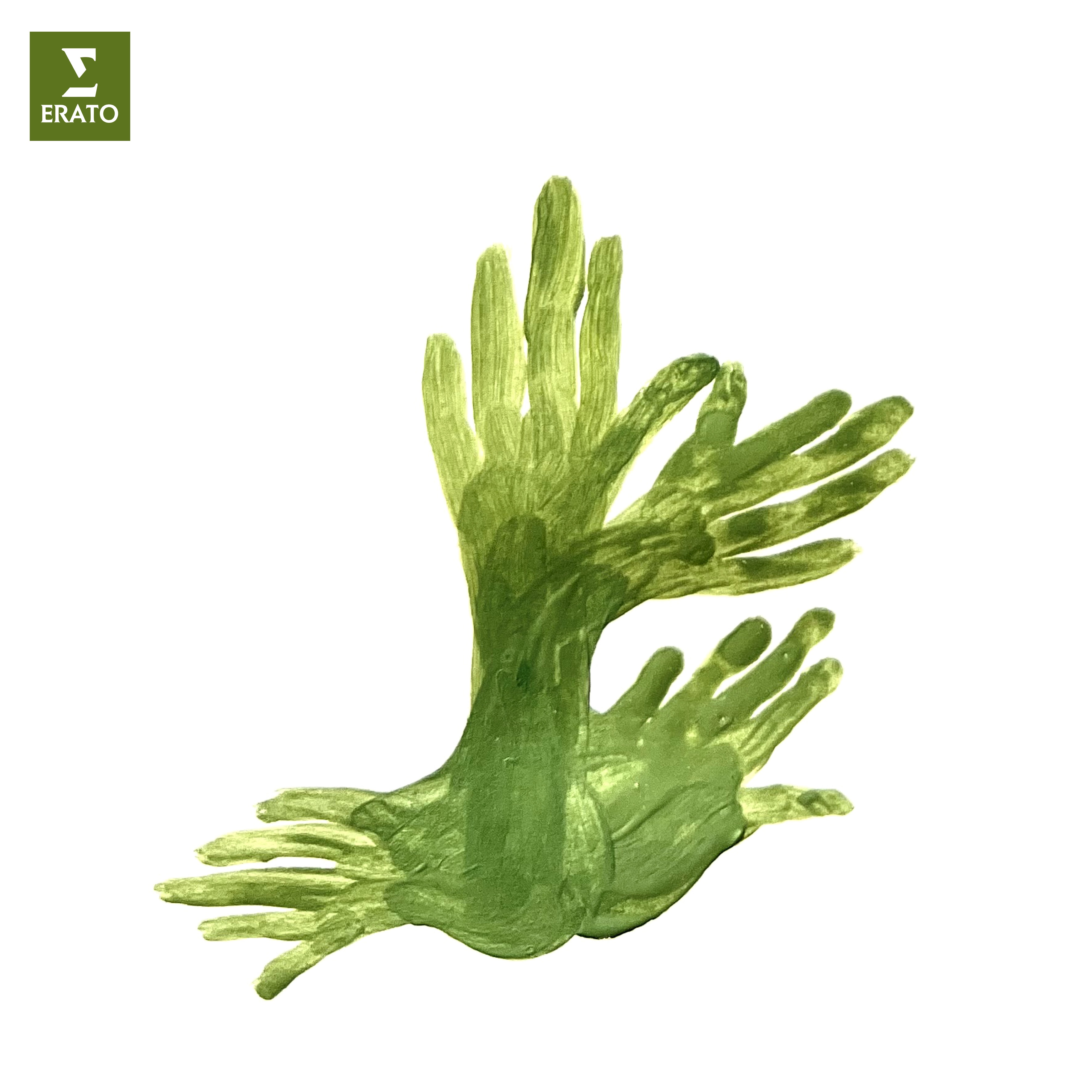 Ravel: Le jardin féérique from Ma Mère l’Oye - Single album cover