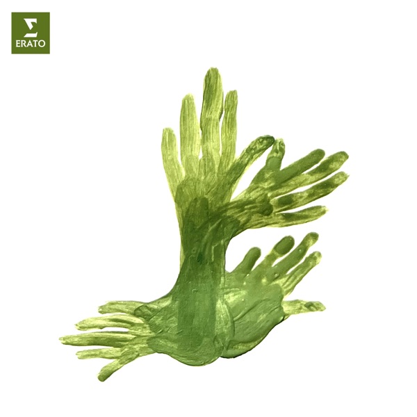 Ravel: Le jardin féérique from Ma Mère l’Oye - Single album cover