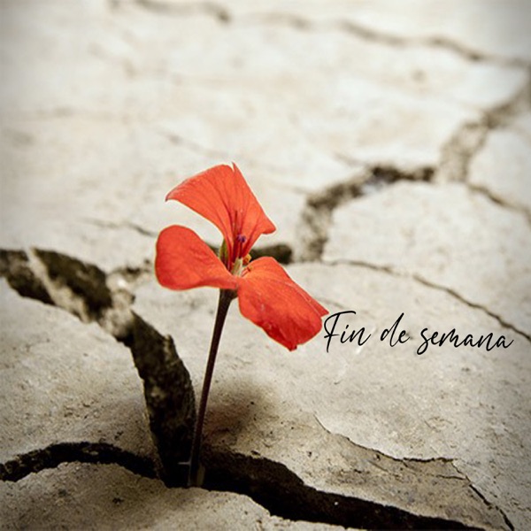 Fin de semana - Single album cover