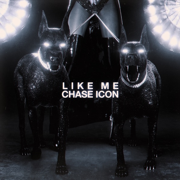 Like Me - Single album cover