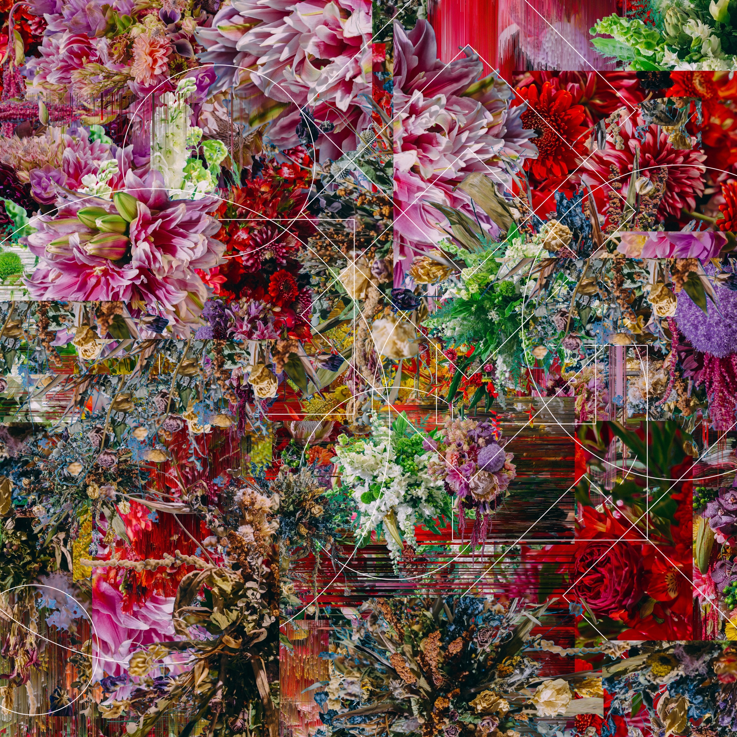 Resistance & the Blessing album cover