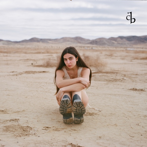 Fooled by your calm - Single album cover