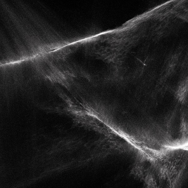 Final Light album cover