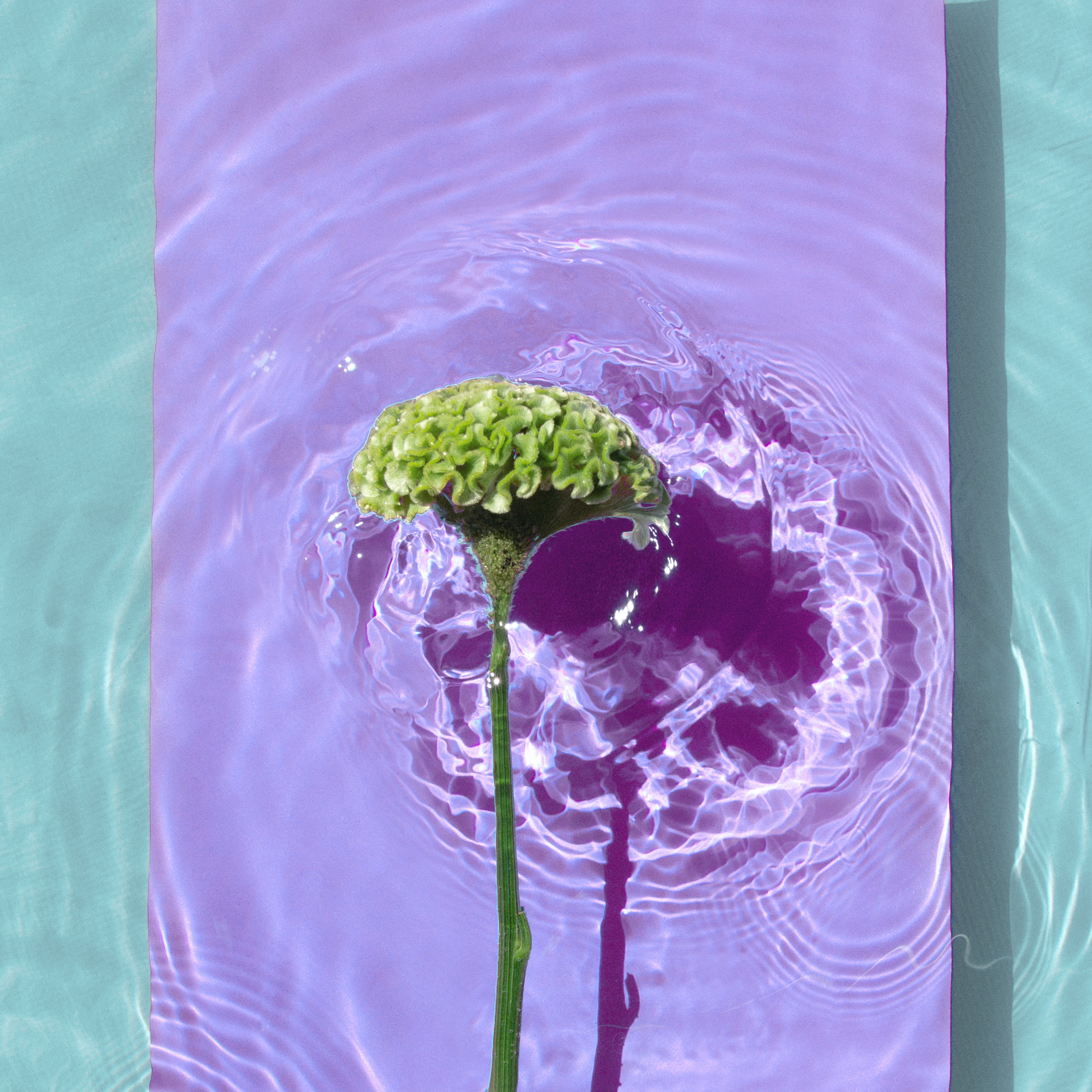 Don't Think Just Fly - Single album cover