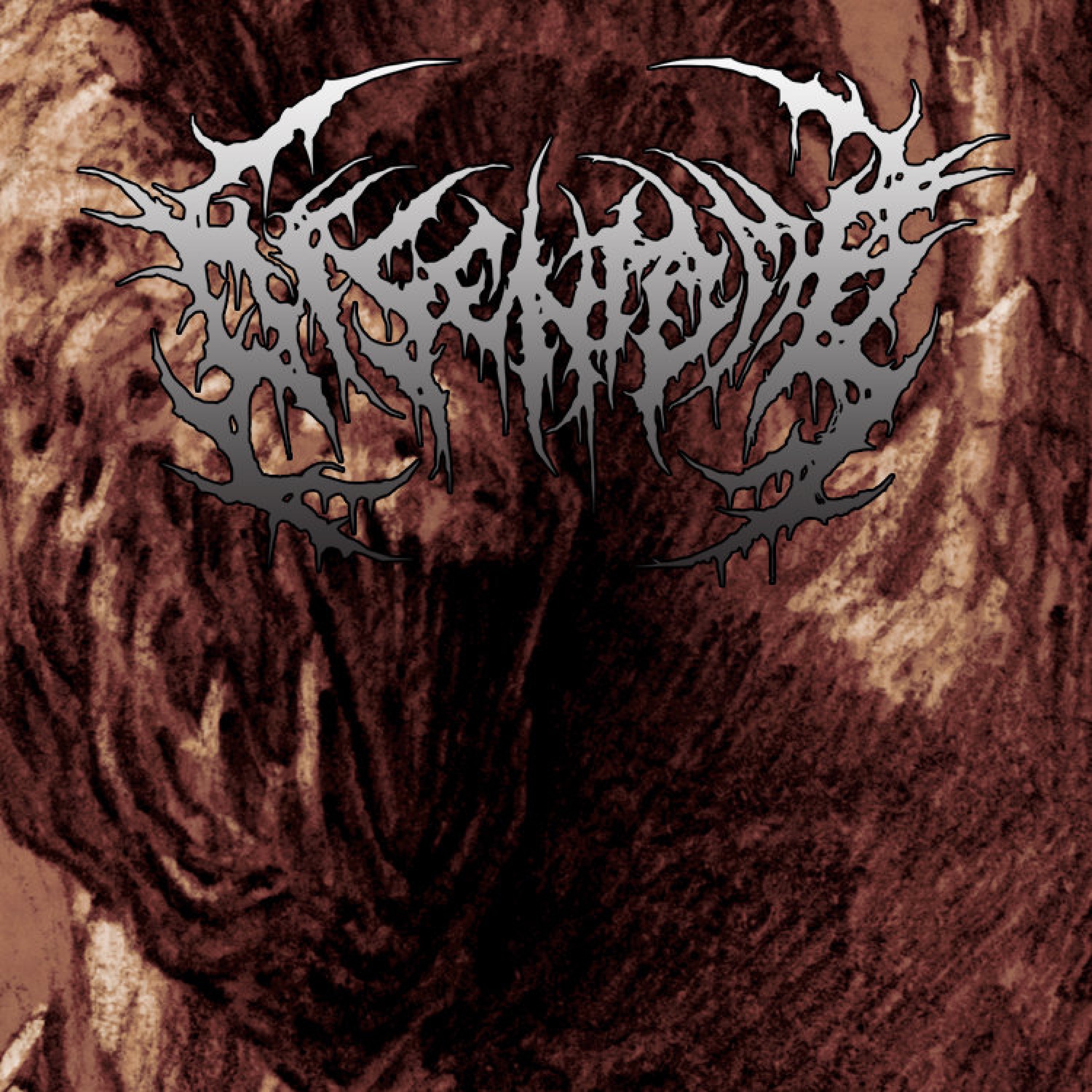 Promo 2012 - Single album cover