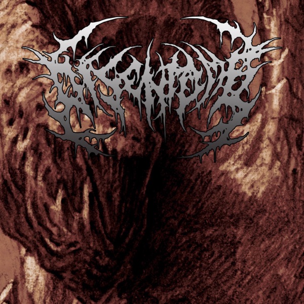 Promo 2012 - Single album cover