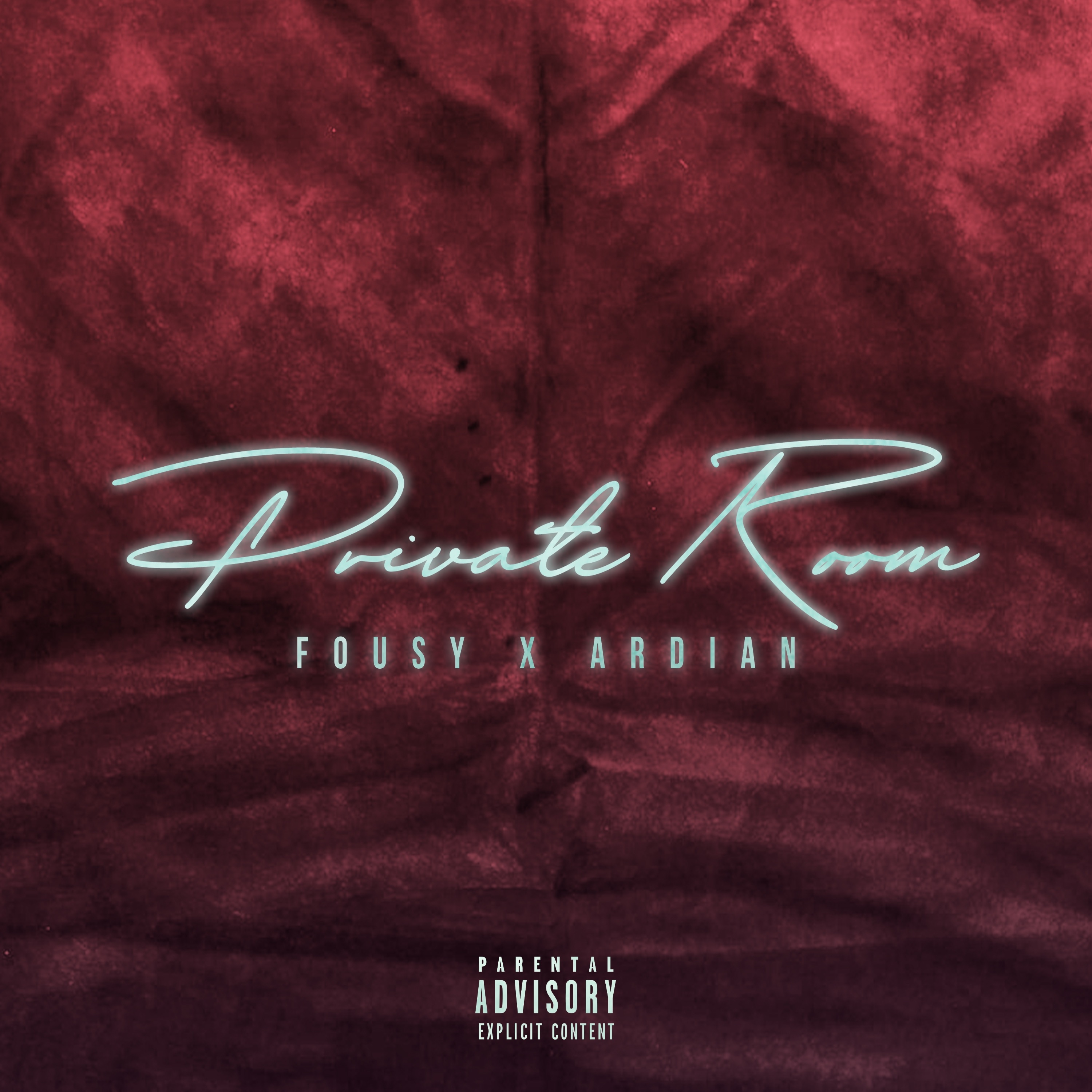 Private Room - Single album cover