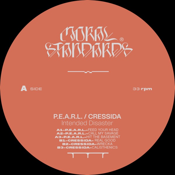 Intended Disaster album cover