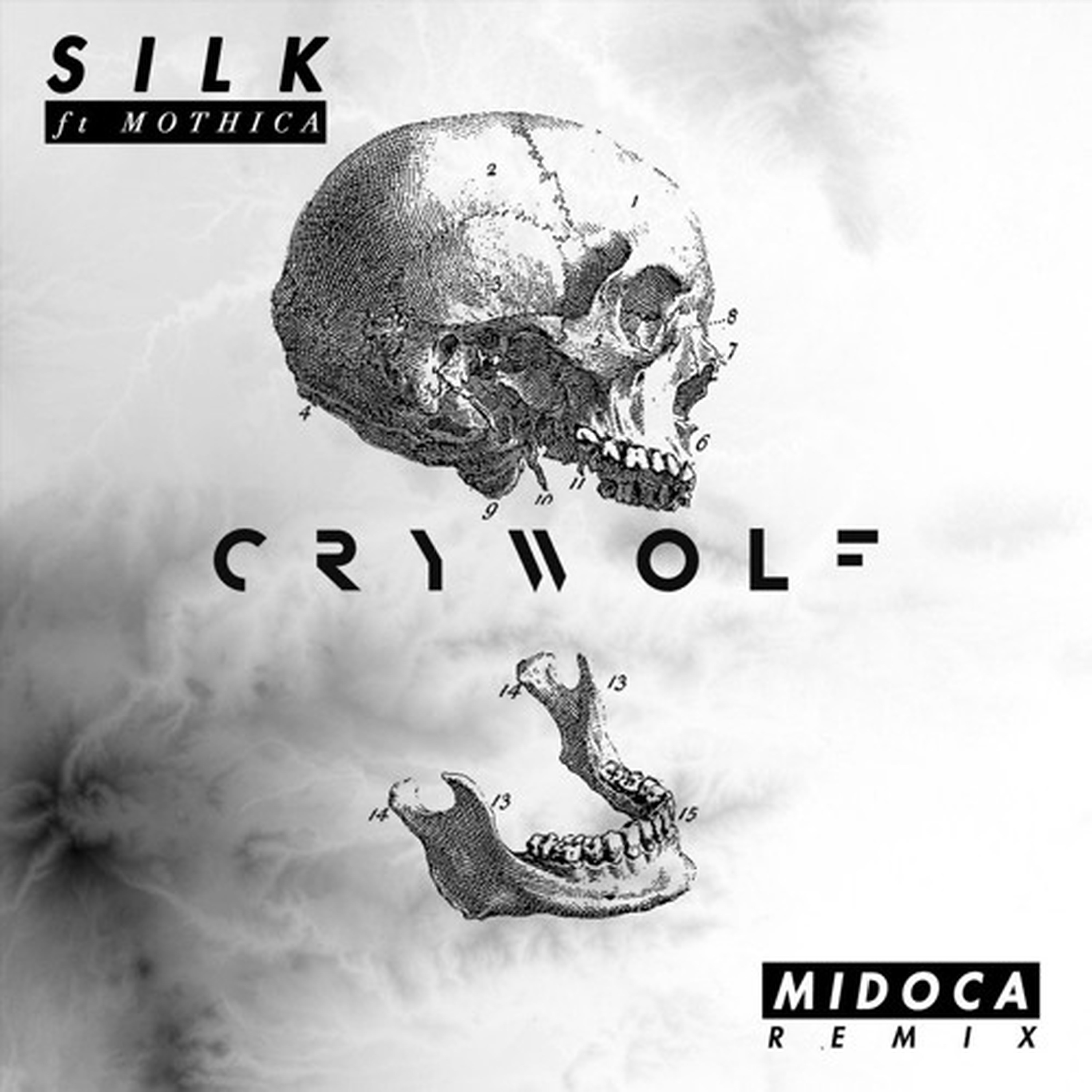 Silk (Midoca Remix) [feat. MOTHICA & Midoca] - Single album cover