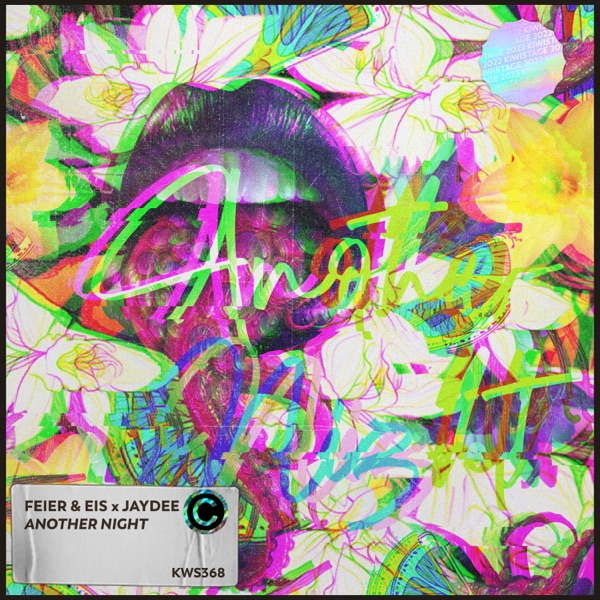 Another Night - Single album cover