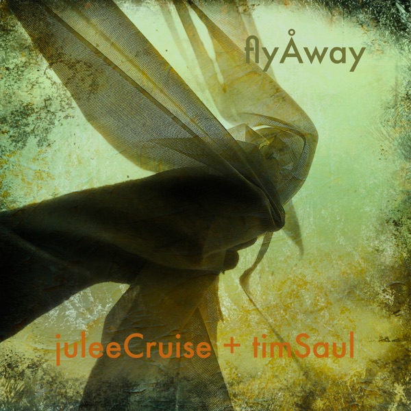 Fly Away (HAb Remix) - Single album cover