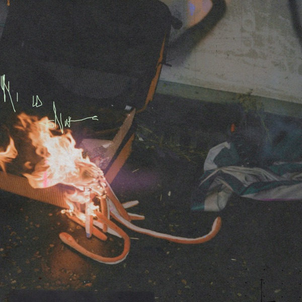 Mild Snake - EP album cover