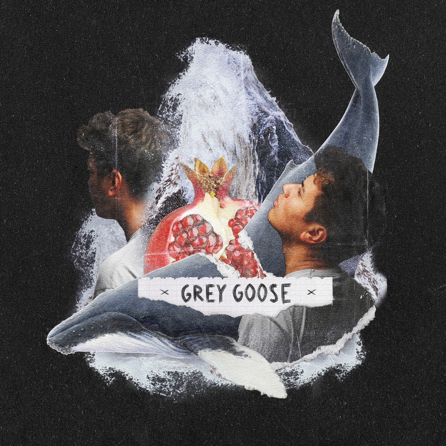 Grey Goose - Single album cover