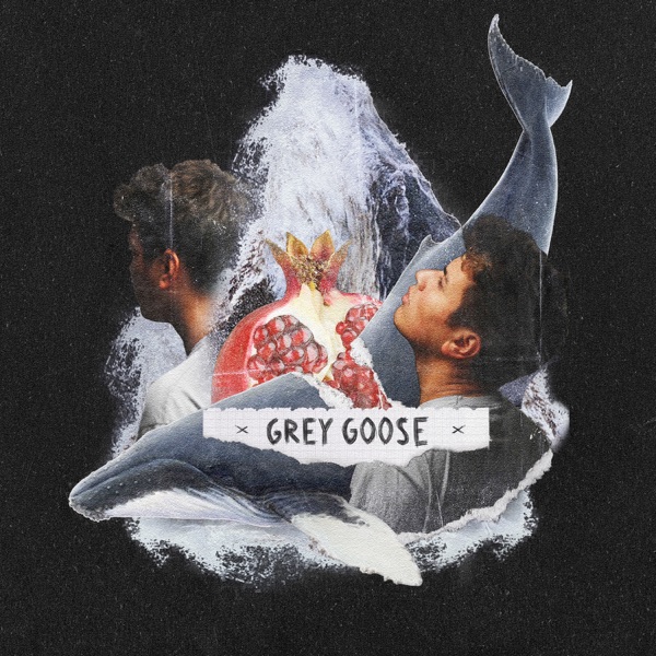 Grey Goose - Single album cover