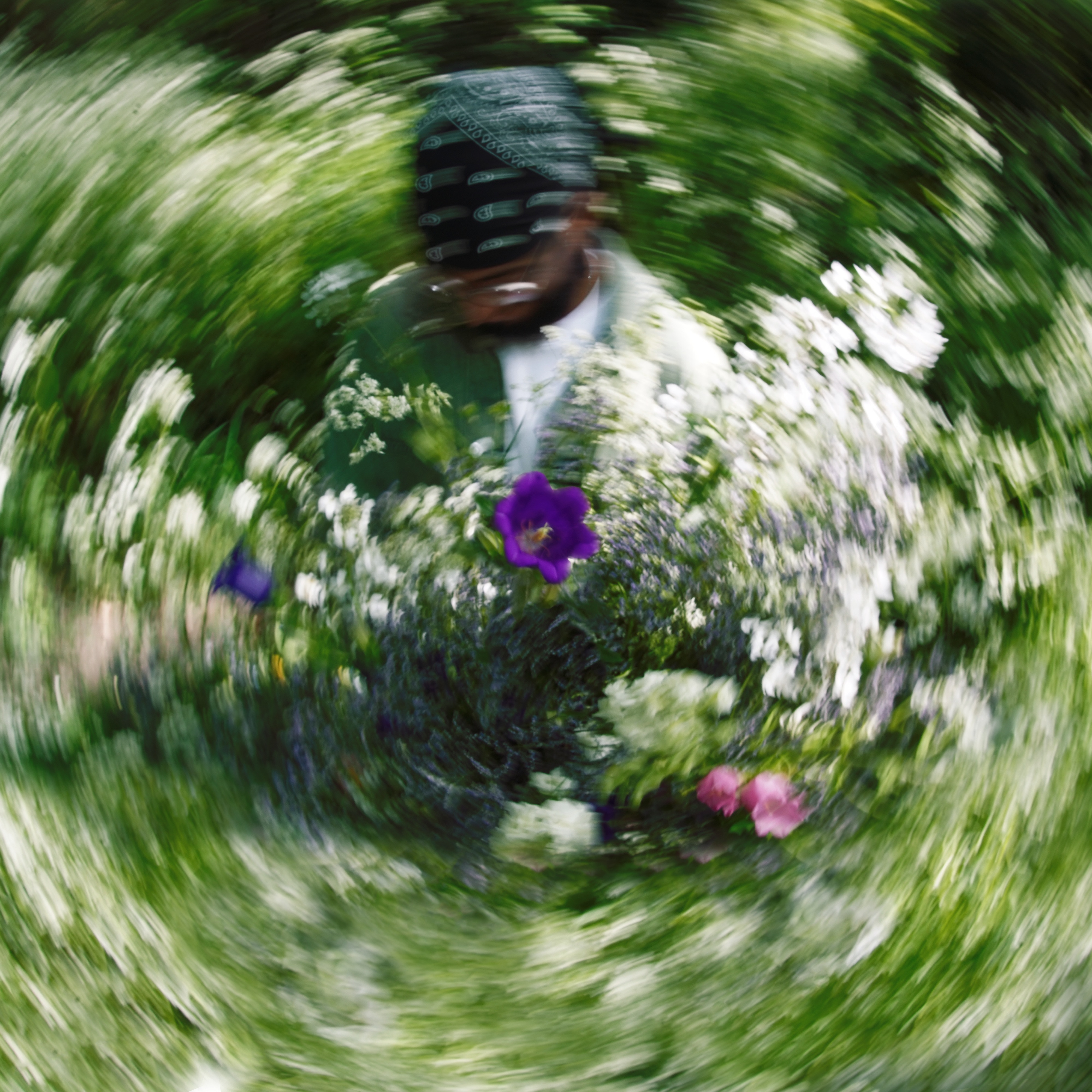 dehydrate - Single album cover