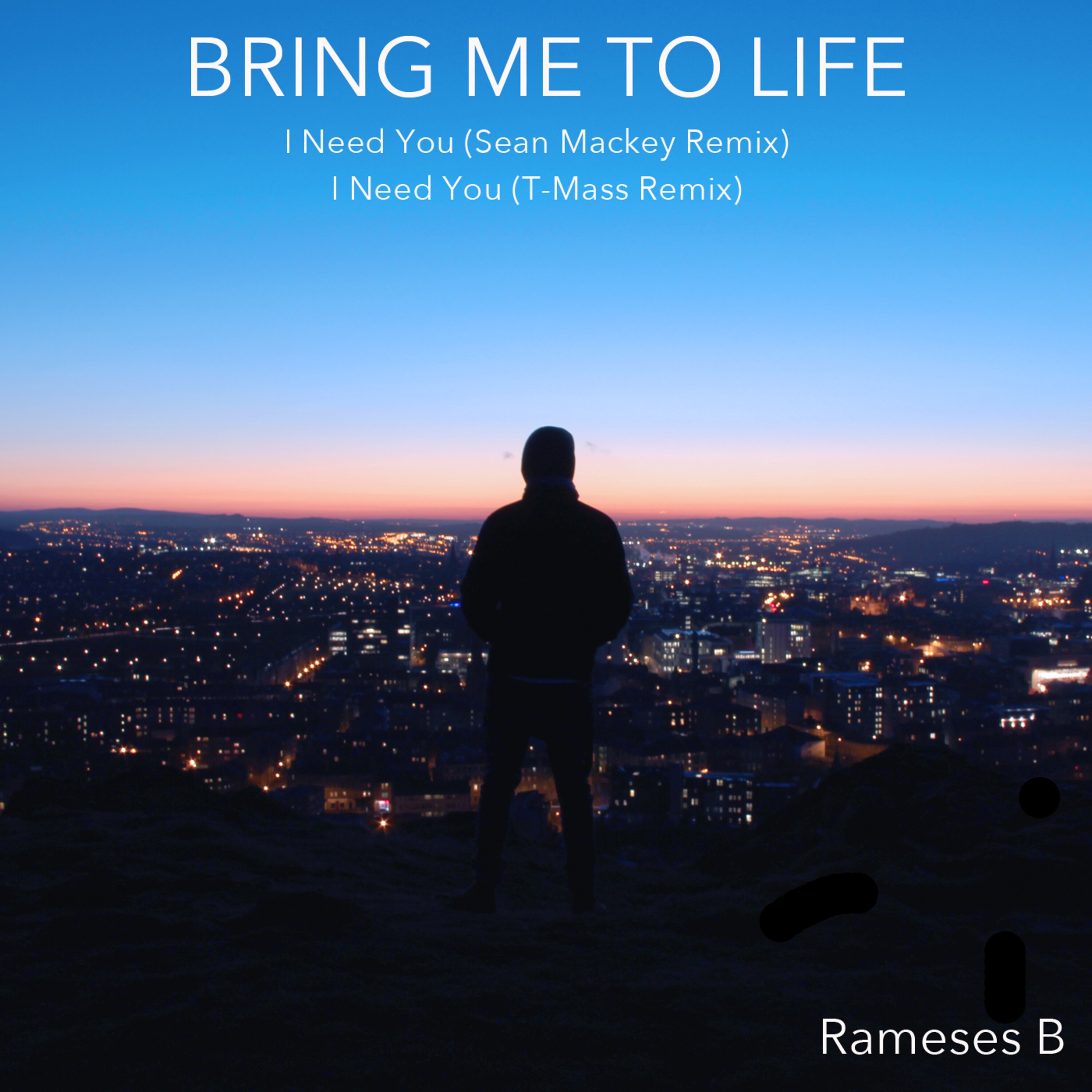 Bring Me To Life - Single album cover