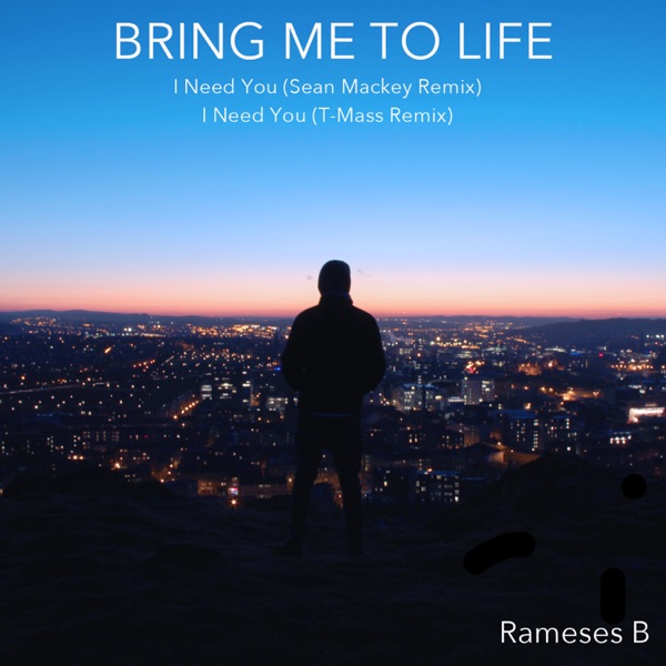 Bring Me To Life - Single album cover