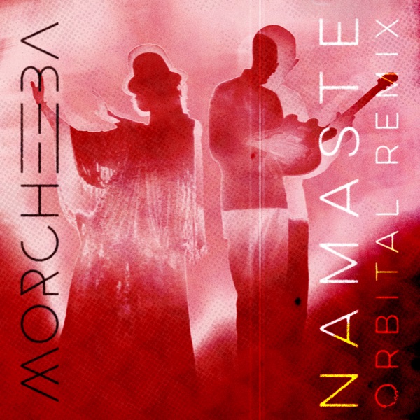 Namaste (Orbital Remix) - Single album cover