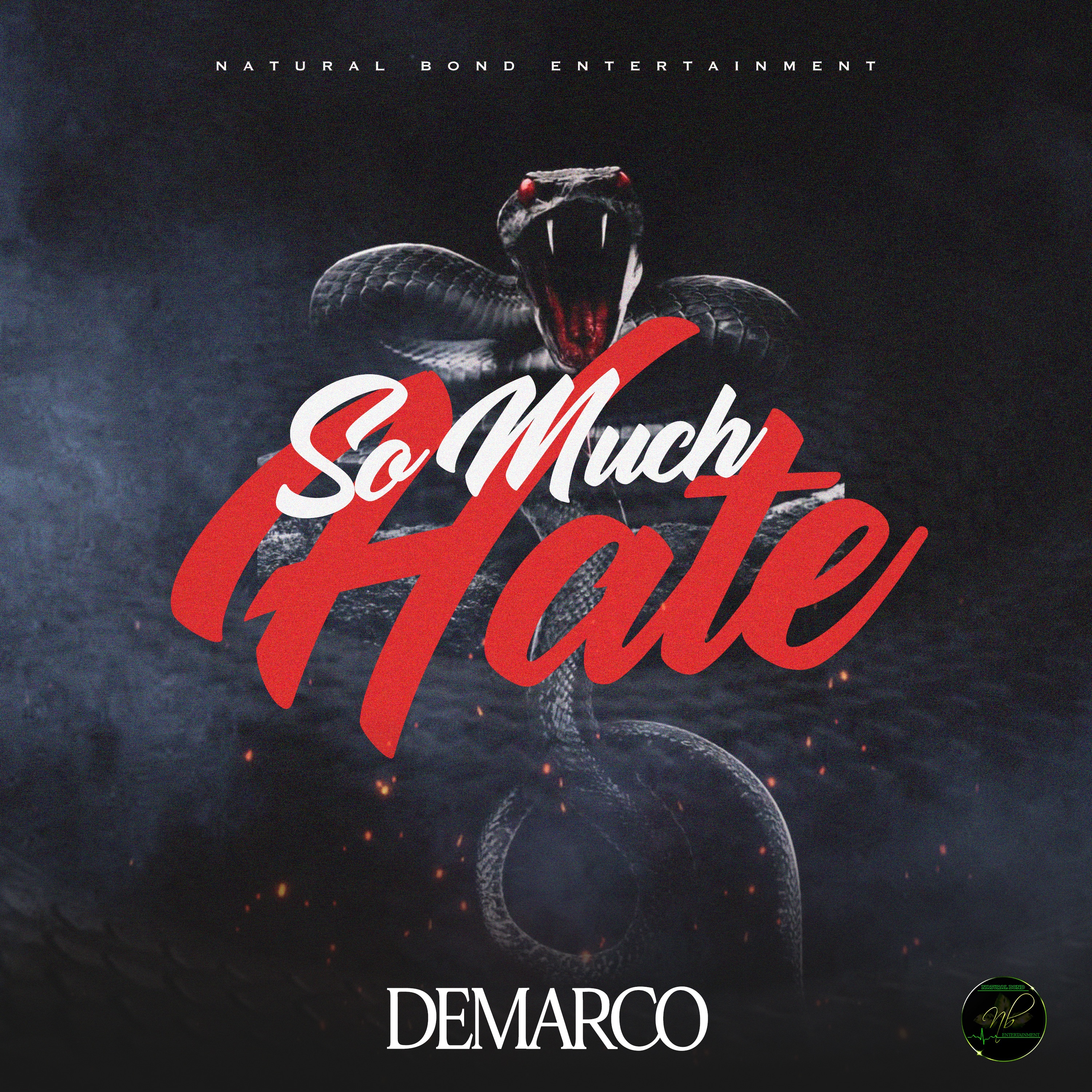 So Much Hate - Single album cover