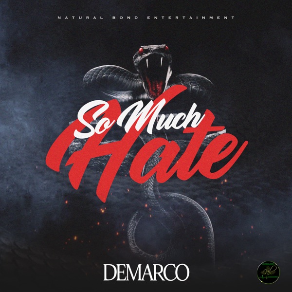 So Much Hate - Single album cover