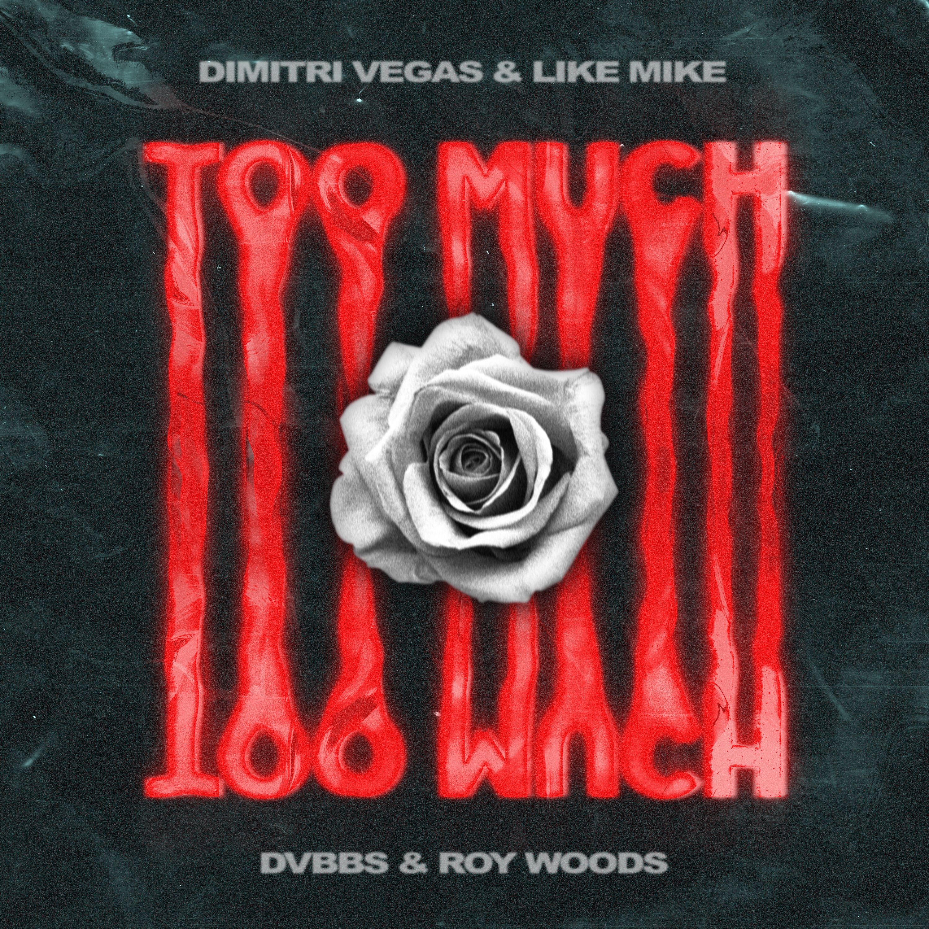 Too Much - Single album cover