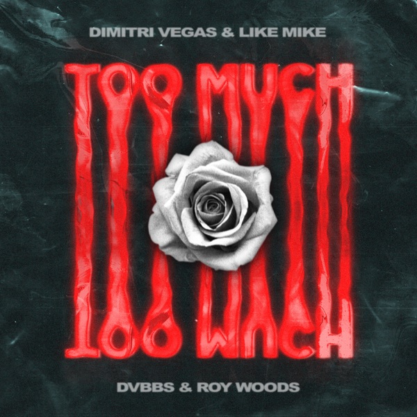 Too Much - Single album cover