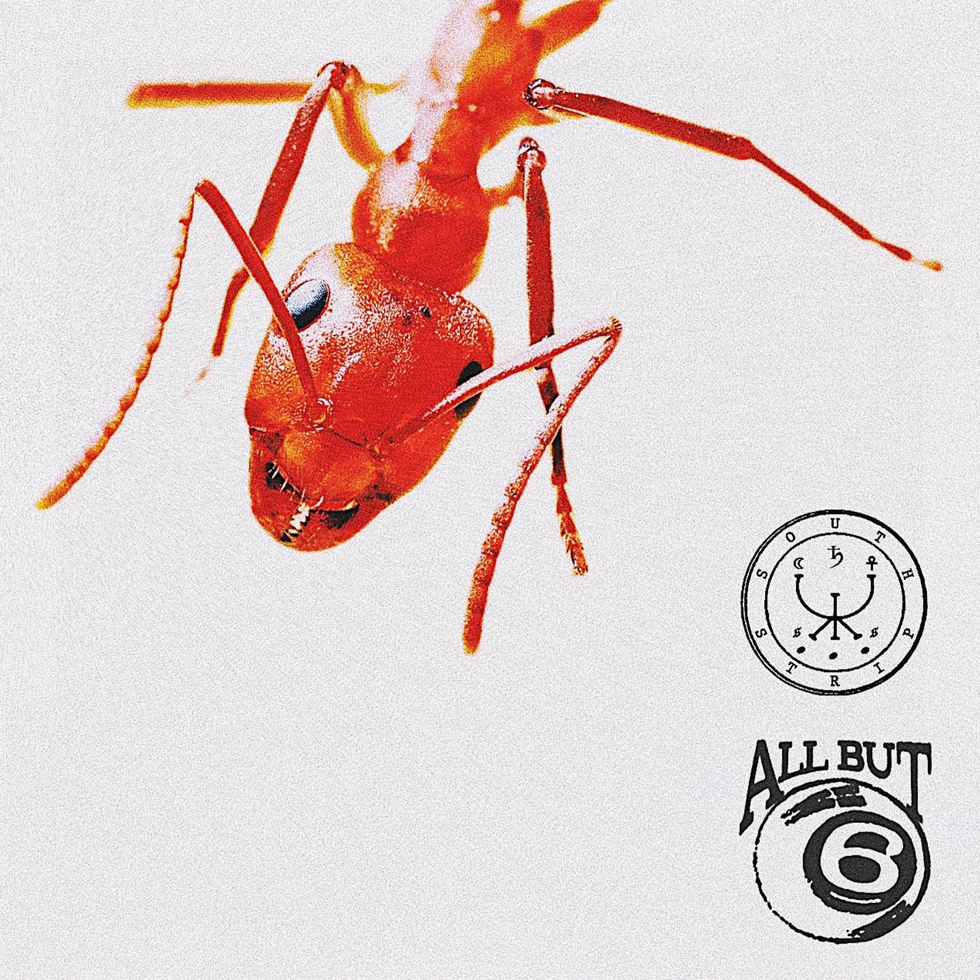 KOTA - Single album cover