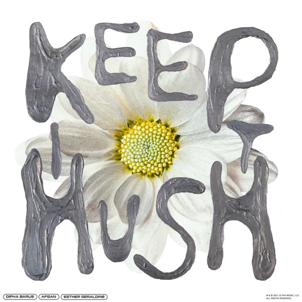 Keep It Hush - Single album cover