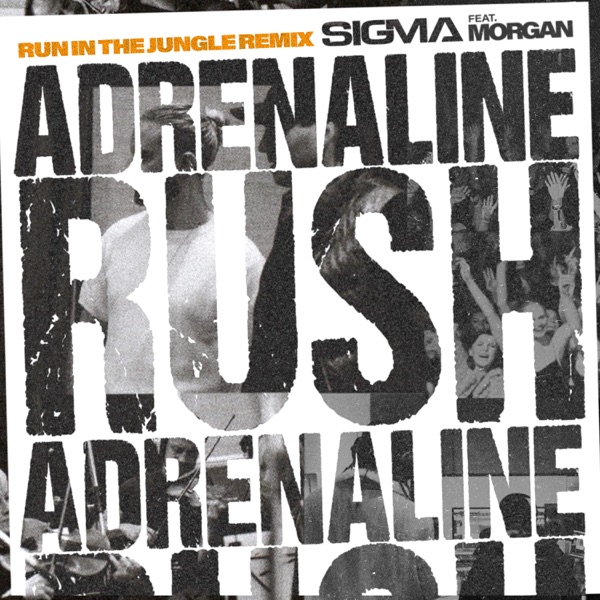 Adrenaline Rush (Run In The Jungle Remix) [feat. Morgan] - Single album cover