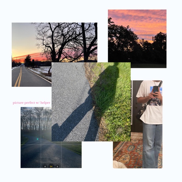 Picture Perfect (feat. Helper) - Single album cover