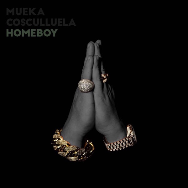 Homeboy (feat. Cosculluela) - Single album cover