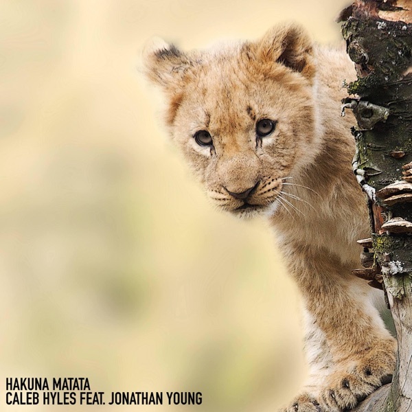 Hakuna Matata (feat. Jonathan Young) - Single album cover