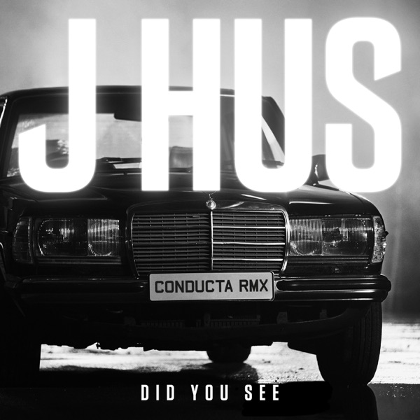 Did You See (Conducta Remix) - Single album cover